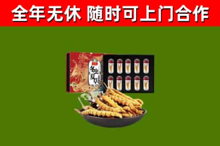 清江浦区烟酒回收冬虫夏草礼盒.jpg